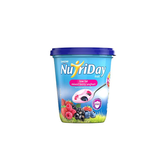 Iogurte de fruta custard Nutriday 900g