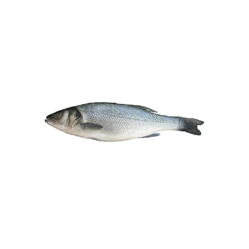 Robalo escalado eviscerado Gelpeixe 5kg