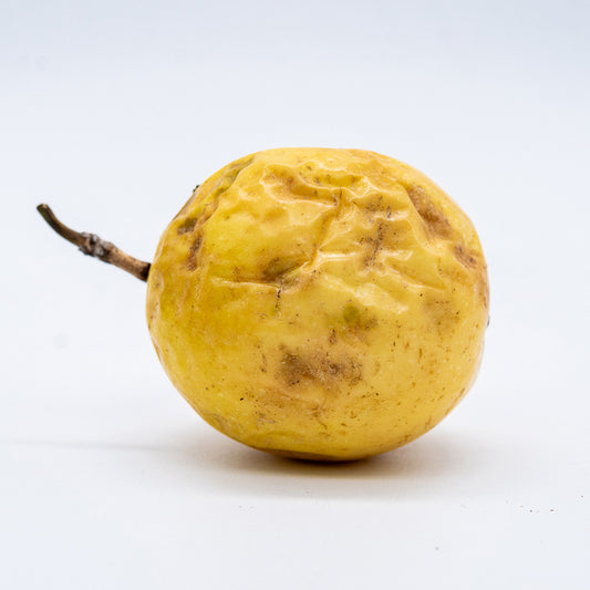Maracuja KG
