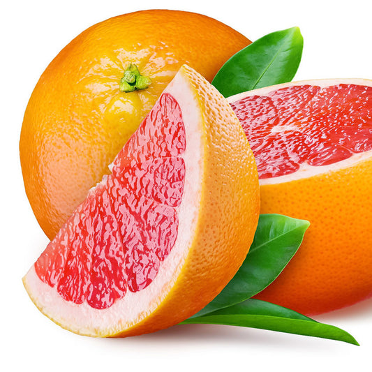 Toranja KG