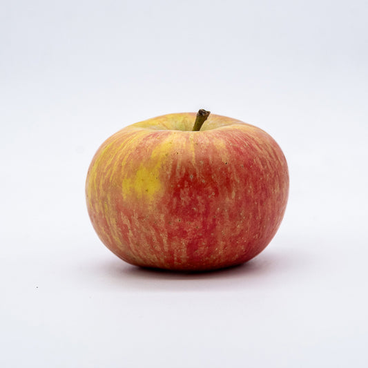 Maca Fuji KG