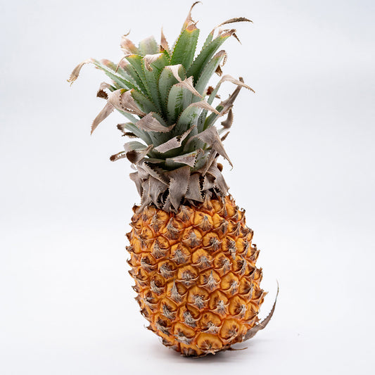 Ananas Sul Africana UN