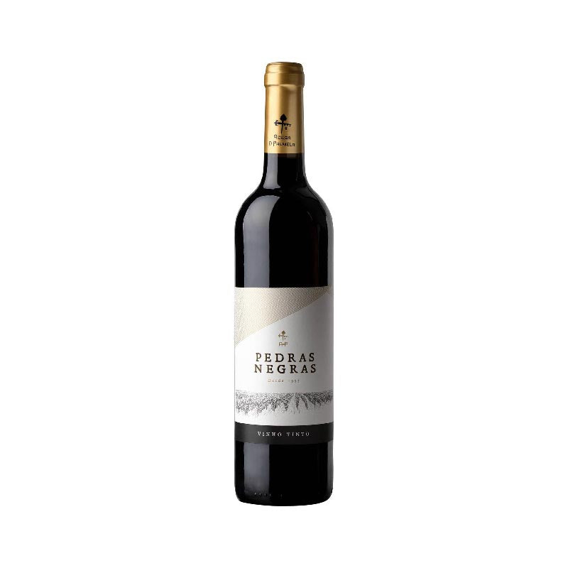 Vinho tinto Pedras Negras 75cl