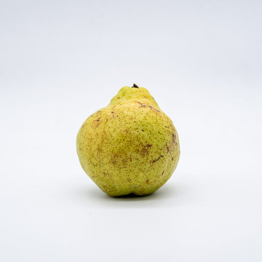 Pera Rocha KG