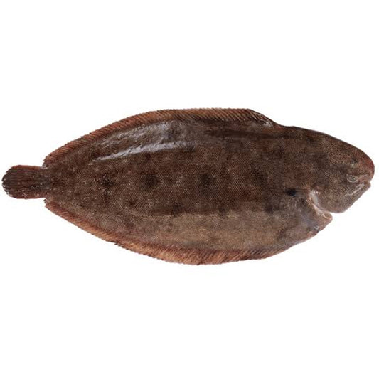 Peixe Linguado 2kg