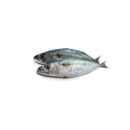 Carapau 20+ Namsov kg