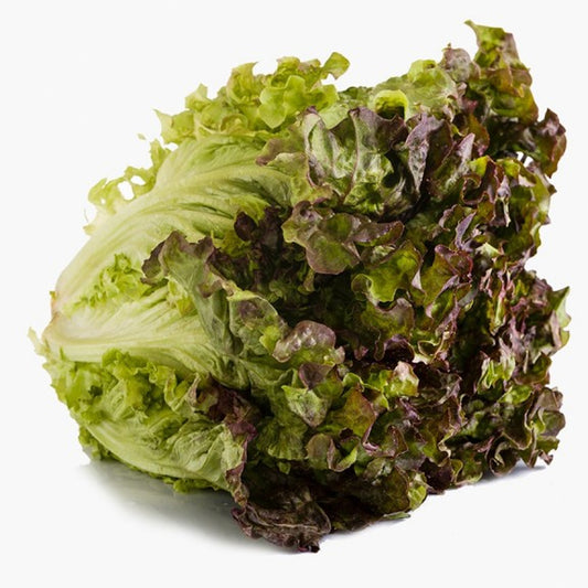 Alface Bouq Gourm Roxa/Verd UN