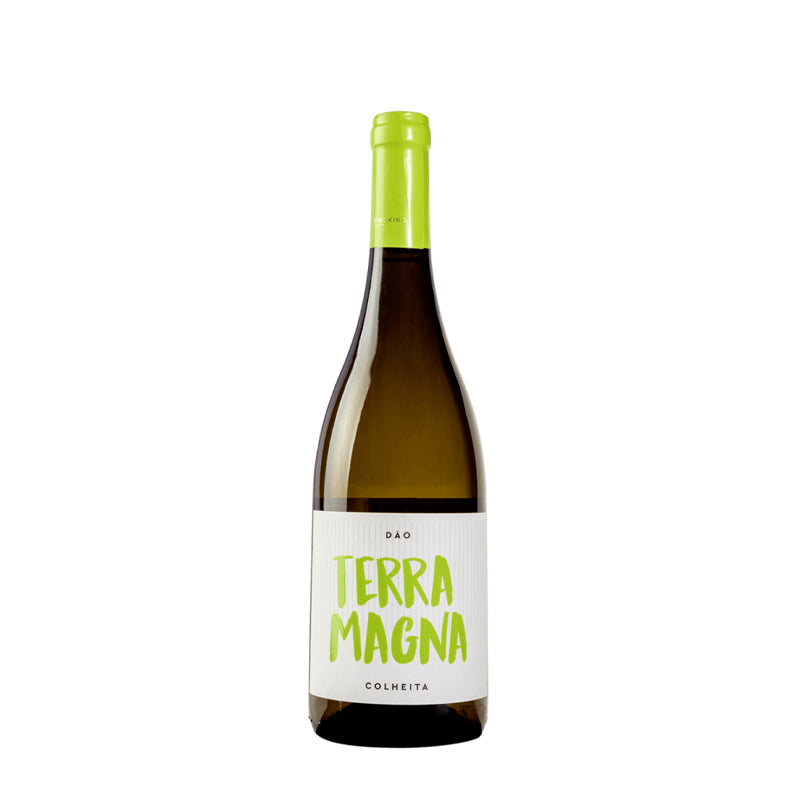 Vinho branco Terra Magna 75cl