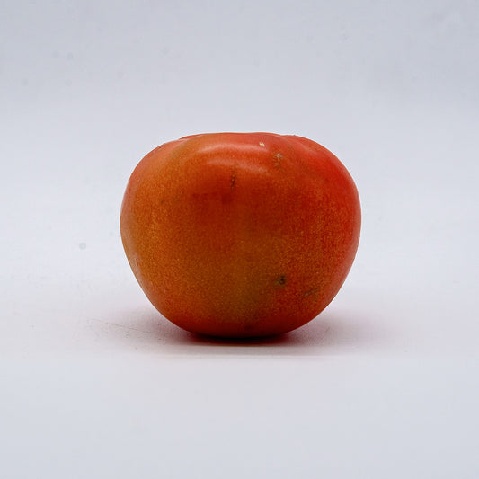 Tomate SA KG