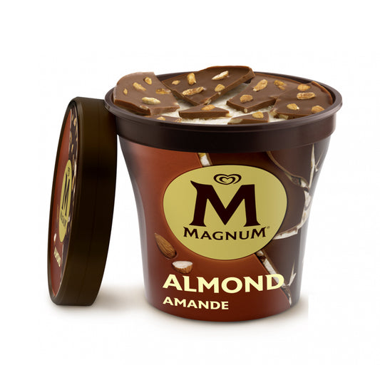 Gelado classico pint Magnum 440ml