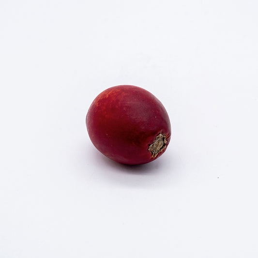 Tamarilho KG